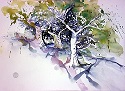 Olivenhain