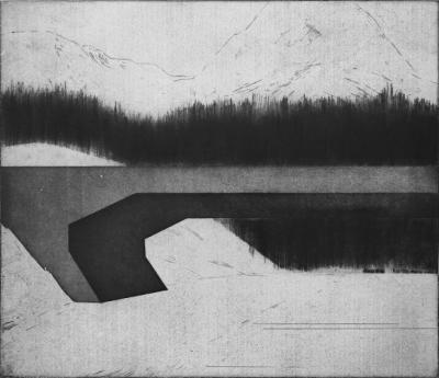 Julia-Ludwig-Landschaft-Mezzotinto-Aquatinta-Kaltnadel-50-cm-x-58-cm-2013