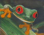 Frosch2