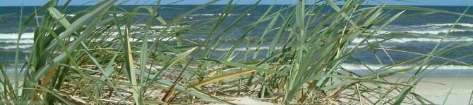 Strand Grzybowo Ostsee