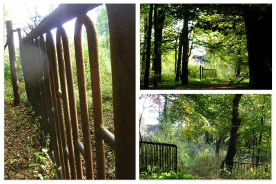 Collage_Herbstspaziergang2