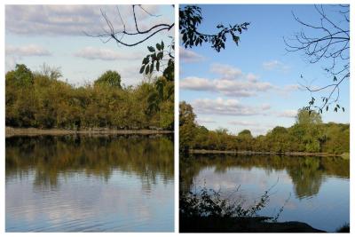 Collage_Herbstspaziergang3