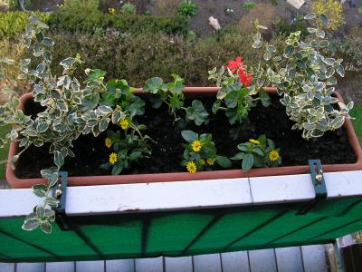 Corinnas-schoener-fruehlingshafter-Balkon_2