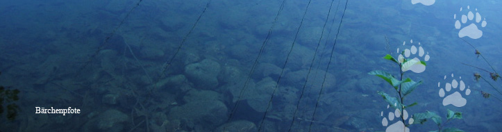 header3