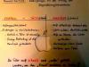 Arbeitsfolie-aus-einem-Lehramtsstudium-in-NRW