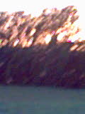 Bild(5)