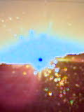 Bild(6)