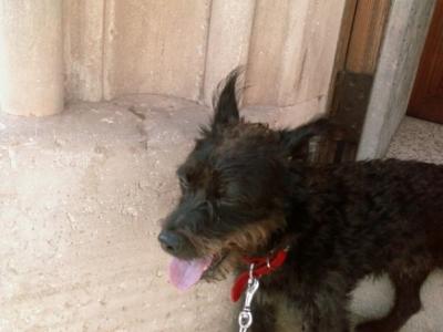 n1249555071_30171750_5604-2-1