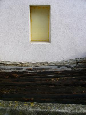 fruehling