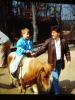 pony