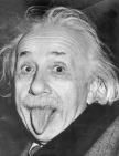 albert