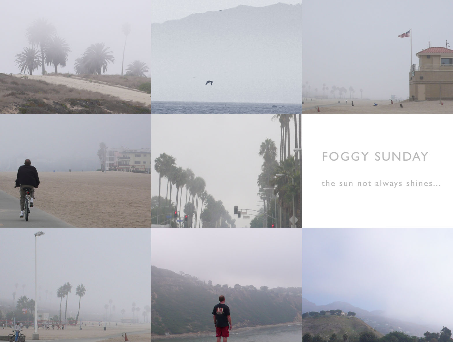 foggy01
