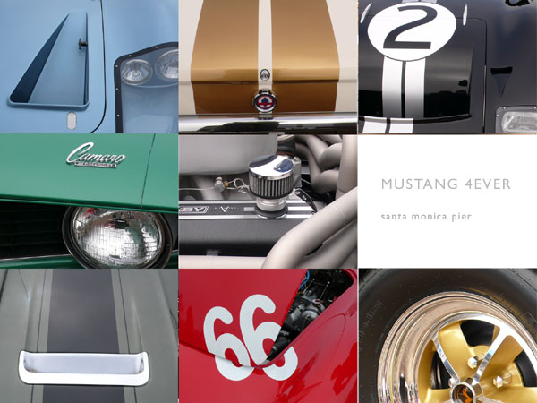 mustang01