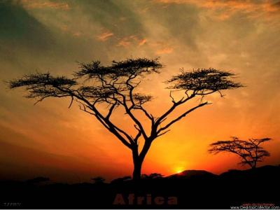 afrika