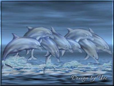 delfine1