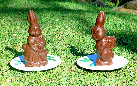 chocolate bunnys chocolate bunnys