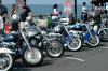 Harleys 