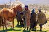 Sani Pass - Blanket People