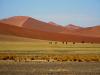 Sand -soweit das Auge reicht. Die Dünen ändern ihre Farbe mit dem Sonnenlicht