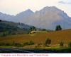 vineyards near Franschhoek