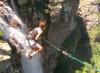 oribi jump 2