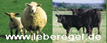 egelbanner