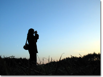 fotosafari