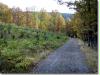 herbstspaziergang02