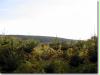 herbstspaziergang03