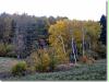 herbstspaziergang05
