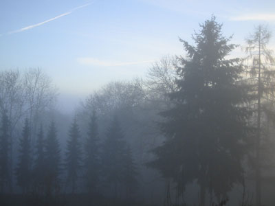 nebeldesgrauens