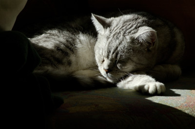 percy