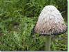 rothaarsteig_6_2