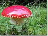 rothaarsteig_6_4