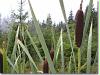 rothaarsteig_6_9