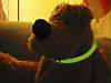 silvester3