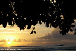 summer-session_28_xs