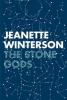 The Stone Gods - Jeanette Winterson