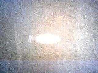 schattenfisch