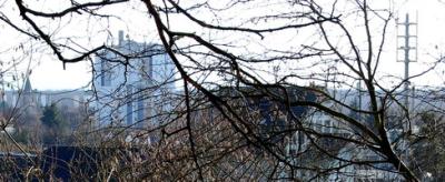 Blick