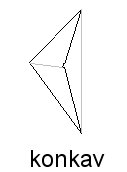 konkav