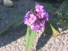 image0023