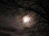 Mond