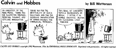 Calvin-Hobbes-TV-Strip-calvin-26-hobbes-152197_700_290