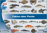 teaser_fische