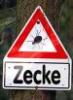 zecke