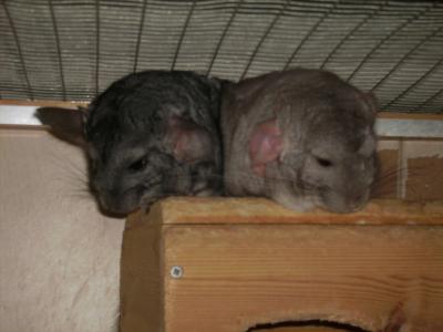 Paul-und-Ben