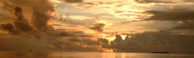 header