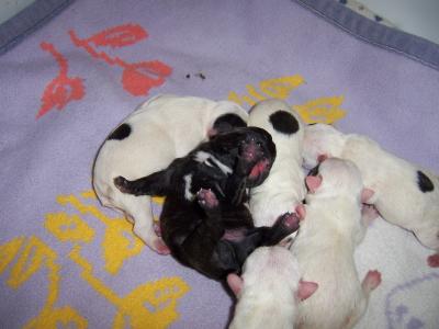 babys_15_10_09-017