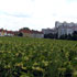 Land/Stadt